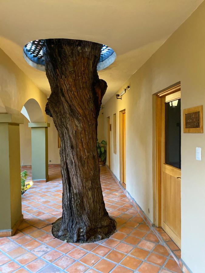Casa Nare Adults Only Hotel San Miguel de Allende Buitenkant foto