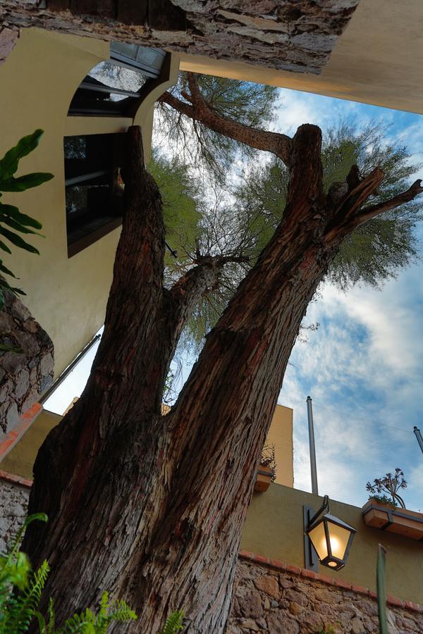 Casa Nare Adults Only Hotel San Miguel de Allende Buitenkant foto